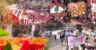 দিনভর শ্রদ্ধাভরে সালাম-বরকতদের স্মরণ করলো জাতি